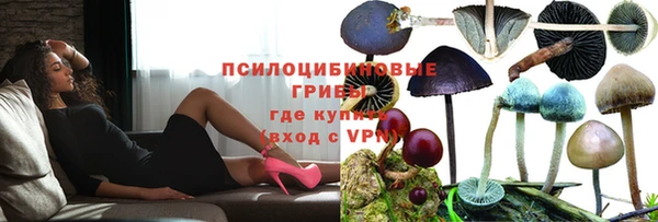 дистиллят марихуана Каменногорск