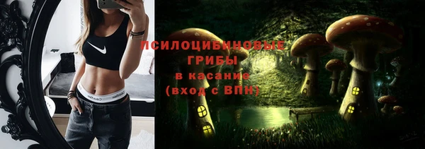 наркотики Каменка