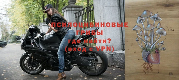 герыч Иннополис