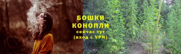 гидра Каменск-Шахтинский