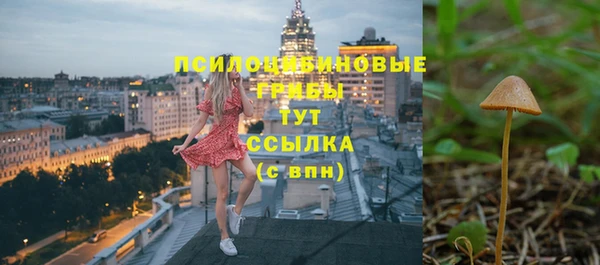 наркотики Каменка